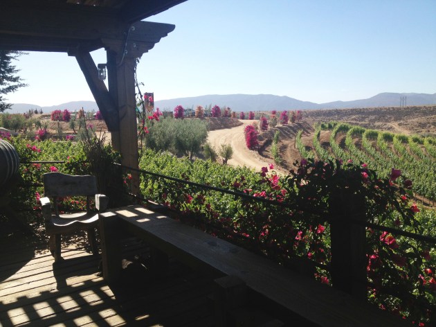 Viñas de Garza - bajatheothercalifornia.com