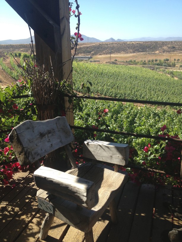 Viñas de Garza - bajatheothercalifornia.com