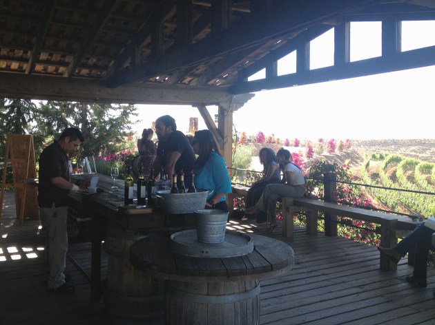 Viñas de Garza - bajatheothercalifornia.com