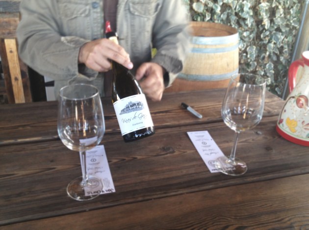 Viñas de Garza - bajatheothercalifornia.com