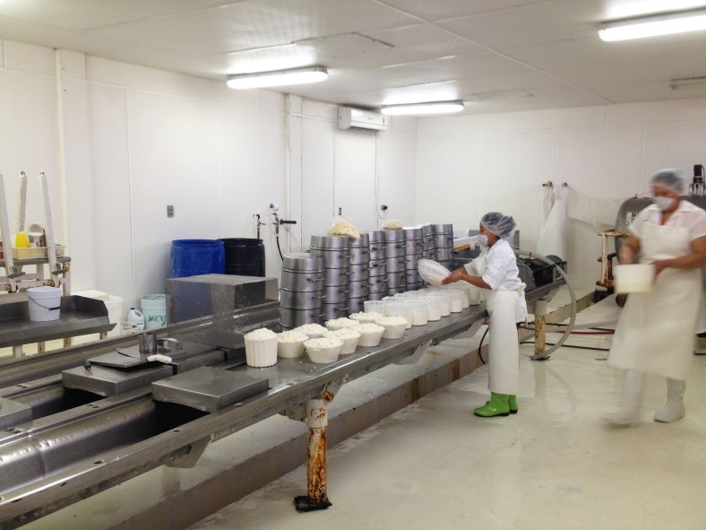 Rancho Cortes Valle de Guadalupe Guadalupe Valley Baja - www.bajatheothercalifornia.com