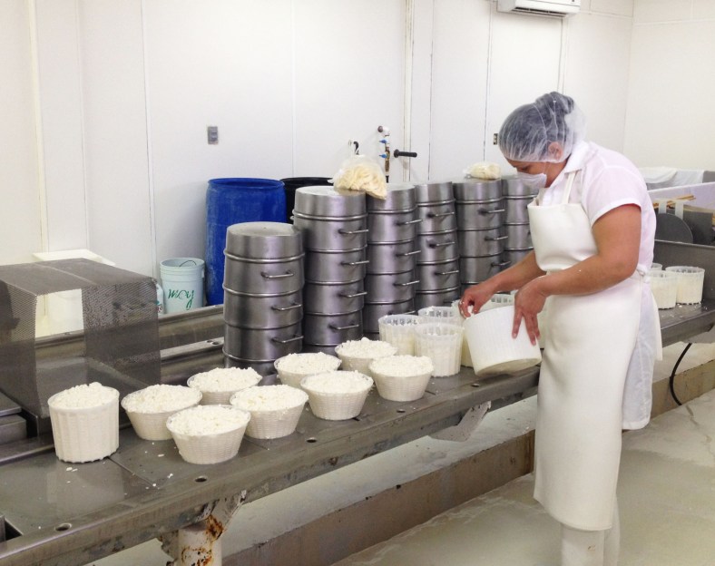 Rancho Cortes Valle de Guadalupe Guadalupe Valley Baja - www.bajatheothercalifornia.com