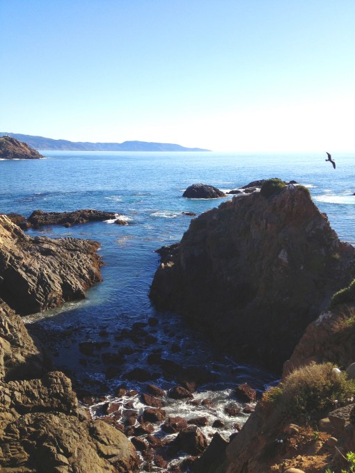 La Bufadora Baja California - bajatheothercalifornia.com