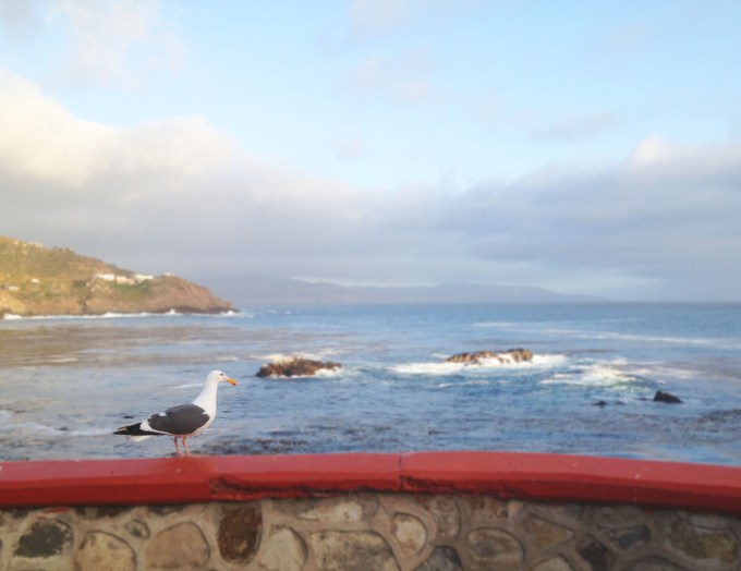 La Bufadora Baja California - bajatheothercalifornia.com