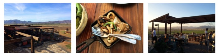 Finca Altozano - www.discoverbaja.com