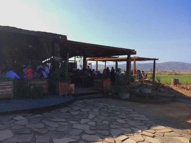 Finca Altozano - www.discoverbaja.com