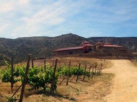Las Nubes Winery Valle de Guadalupe Guadalupe Valley Baja
