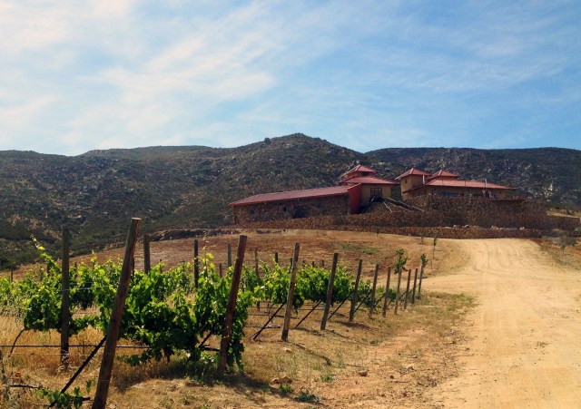 Las Nubes Winery Valle de Guadalupe Guadalupe Valley Baja