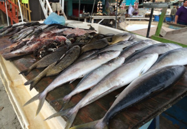 Popotla fishing village Rosarito Baja Mexico