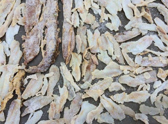 Popotla fishing village Rosarito Baja Mexico