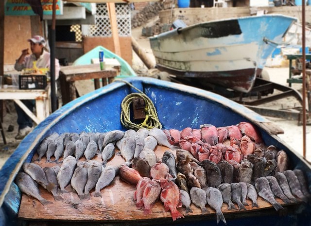 Popotla fishing village Rosarito Baja Mexico