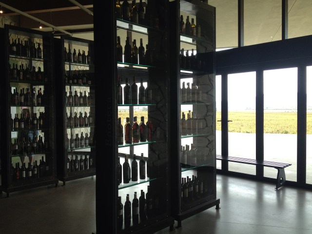 Wine Museum Museo de la Vid y el Vino Valle de Guadalupe Valley