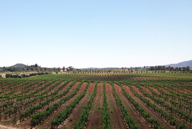 Wine Museum Museo de la Vid y el Vino Valle de Guadalupe Valley