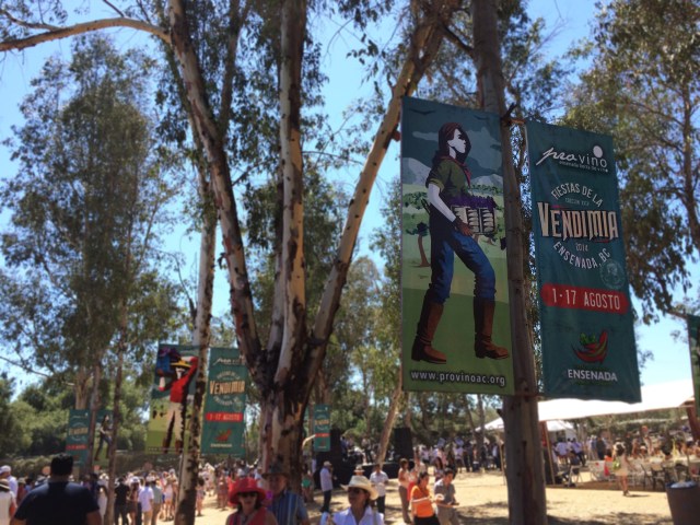 Paella fest vendimia